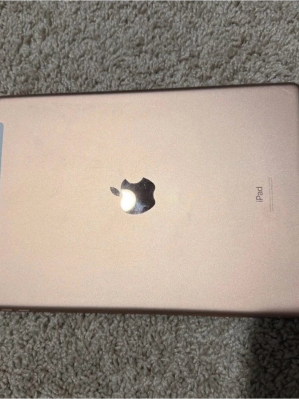 Apple iPad - Rose Gold Back Panel